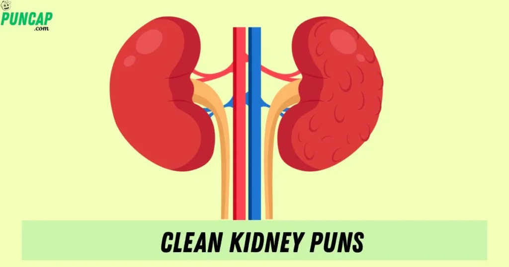 Clean Kidney Puns