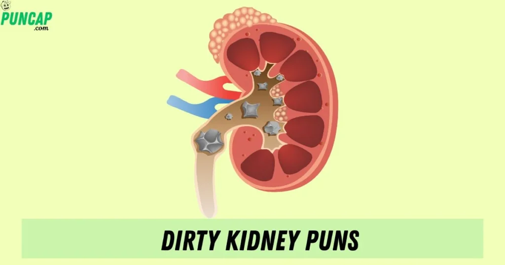 Dirty Kidney Puns