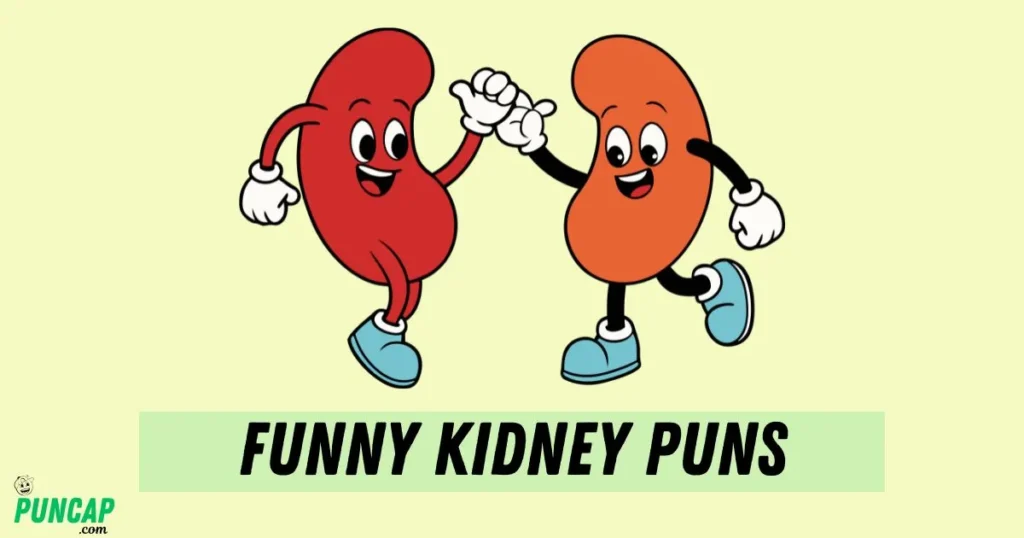 Funny Kidney Puns