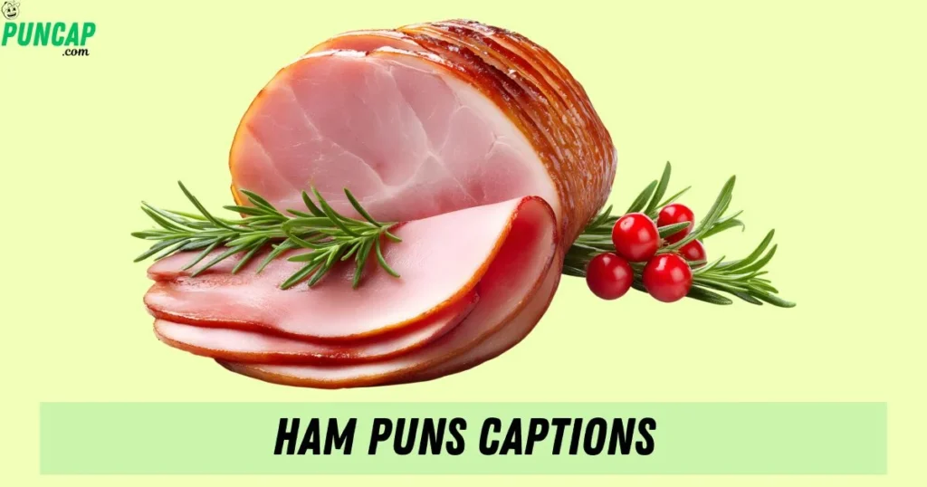 Ham Puns Captions