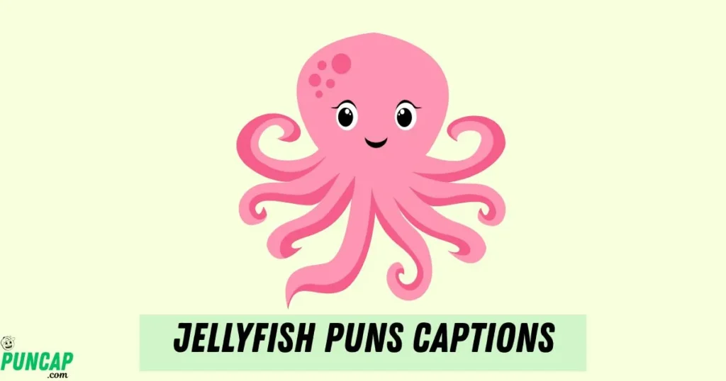 Jellyfish Puns Captions