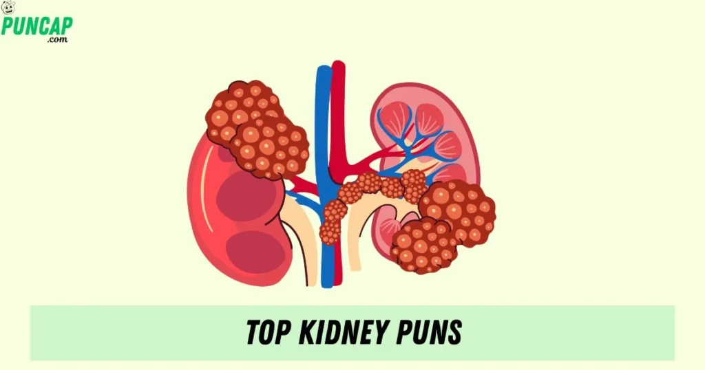 Top Kidney Puns