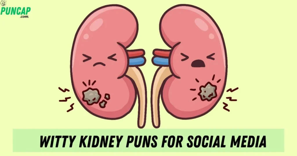 Witty Kidney Puns For Social Media