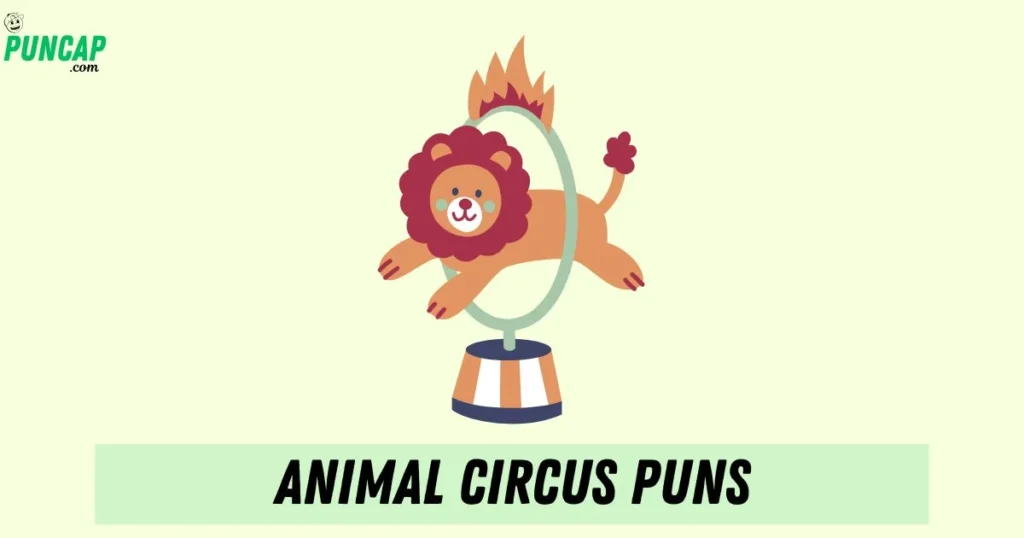 Animal Circus Puns