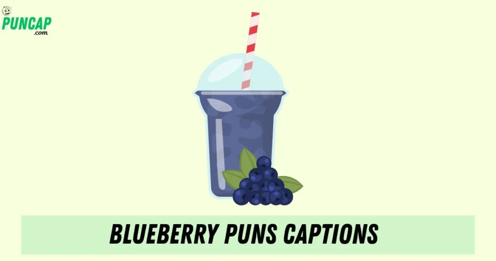 Blueberry Puns Captions
