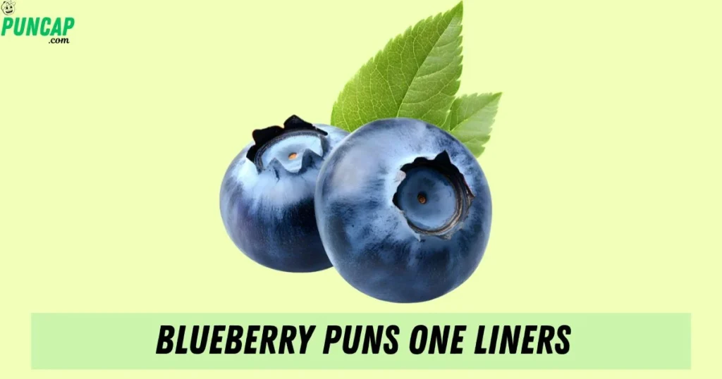 Blueberry Puns One Liners