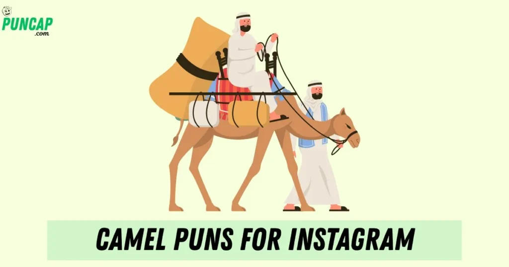 Camel Puns For Instagram