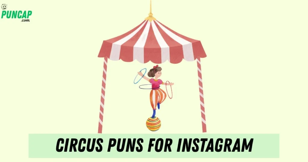 Circus Puns For Instagram