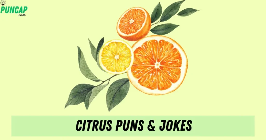 Citrus Puns And Jokes