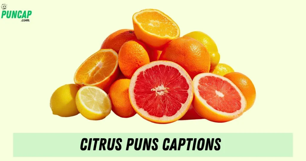 Citrus Puns Captions