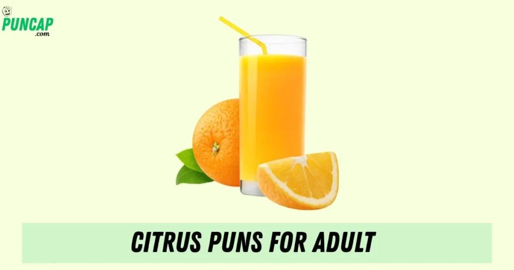 Citrus Puns For Adult