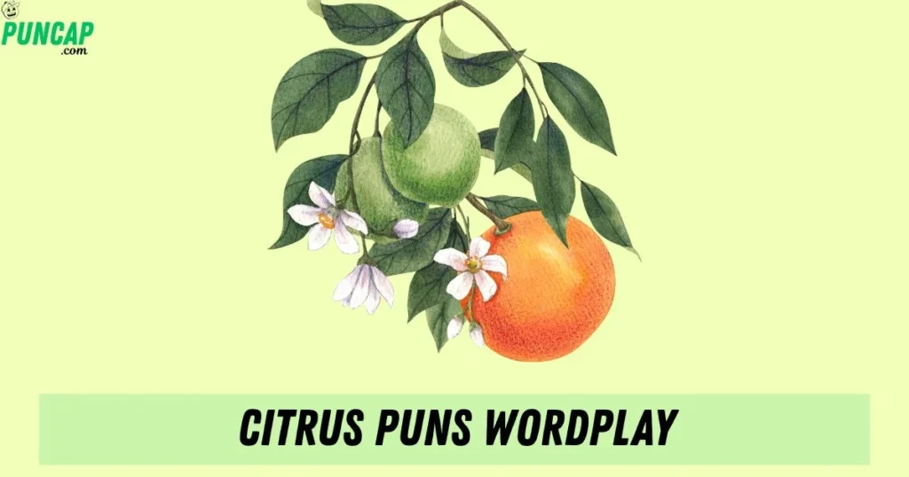 Citrus Puns Wordplay