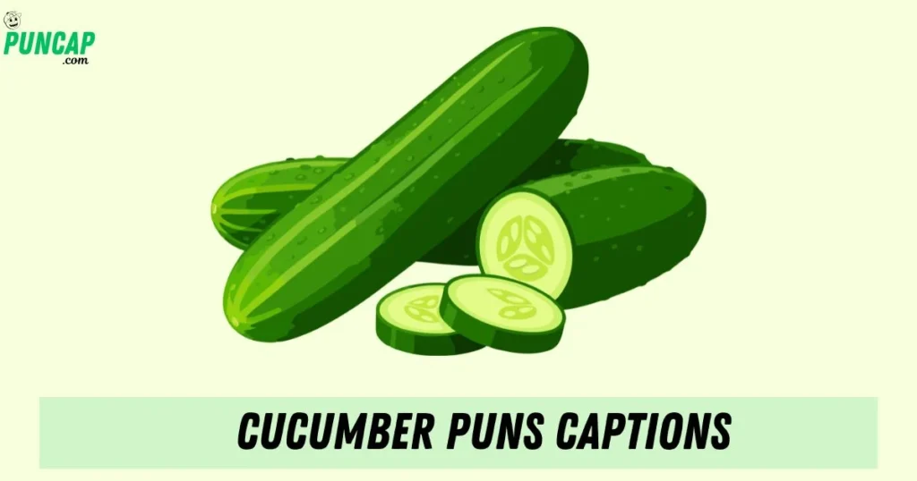 Cucumber Puns Captions