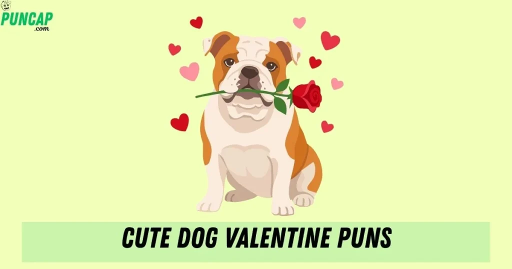 Cute Dog Valentine Puns