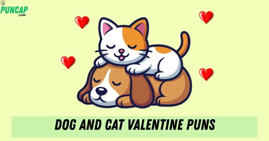 Dog And Cat Valentine Puns