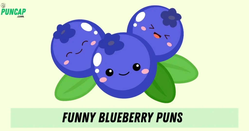 Funny Blueberry Puns