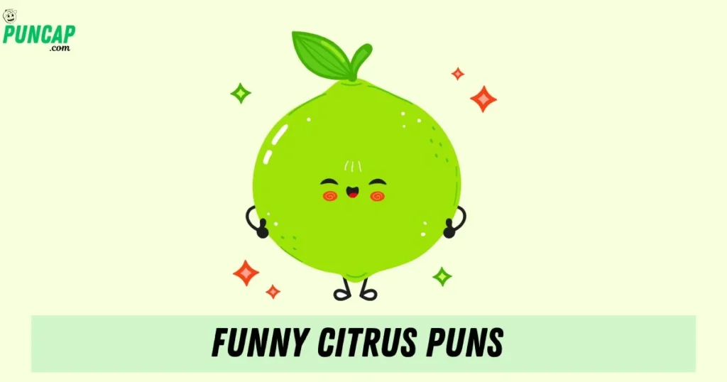 Funny Citrus Puns