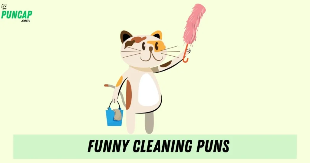 Funny Cleaning Puns