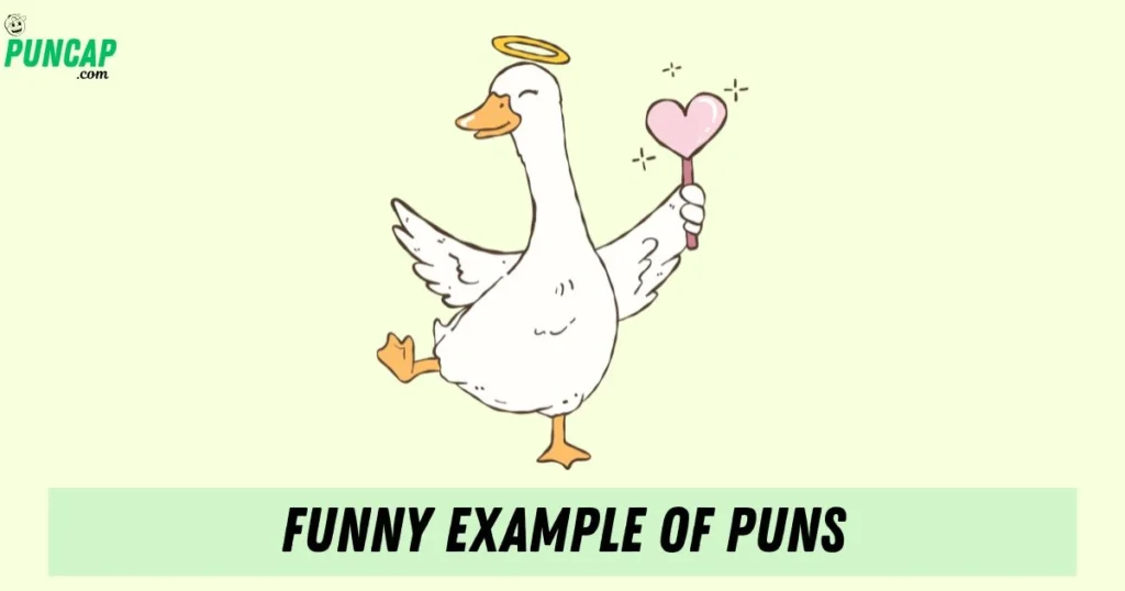 Funny Example Of Puns