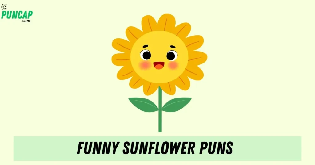 Funny Sunflower Puns