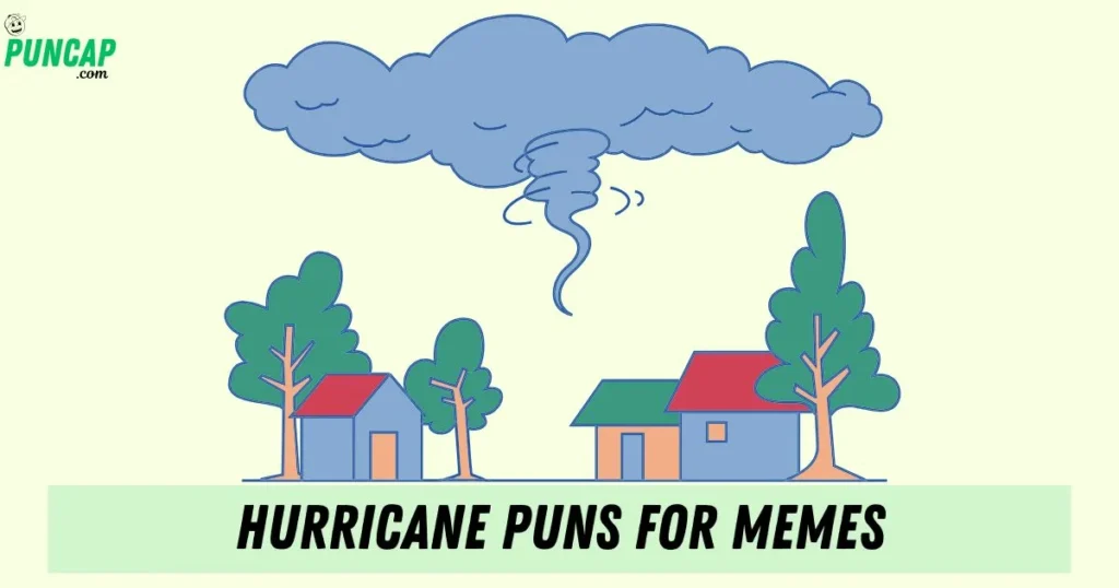 Hurricane Puns For Memes