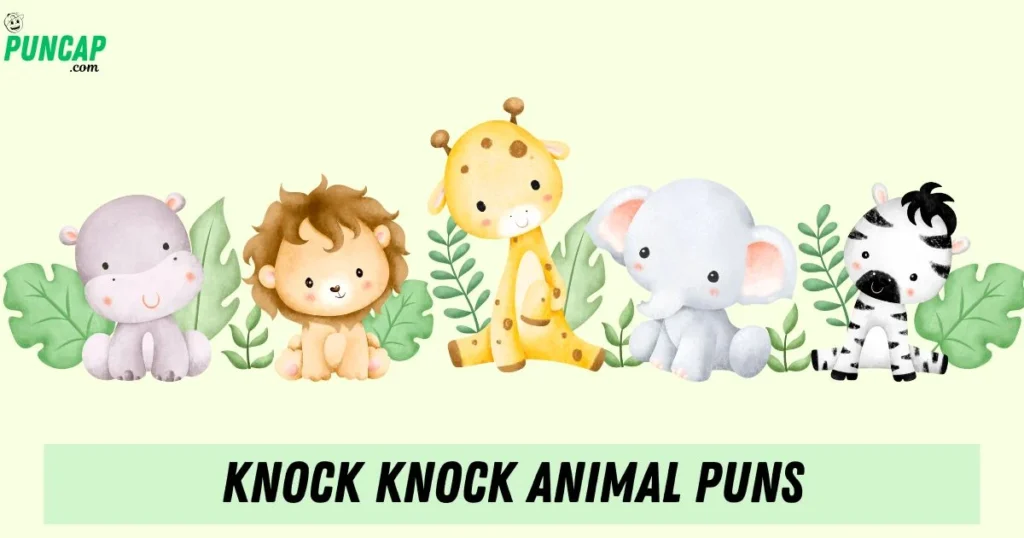 Knock Knock Animal Puns