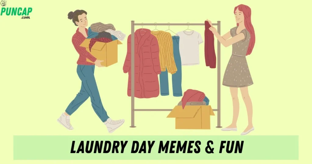 Laundry Day Memes And Fun