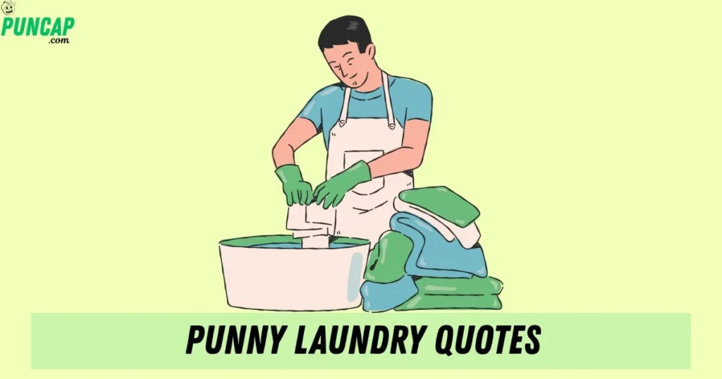 Punny Laundry Quotes