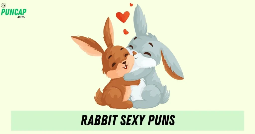 Rabbit Sexy Puns