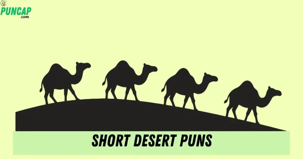 Short Desert Puns