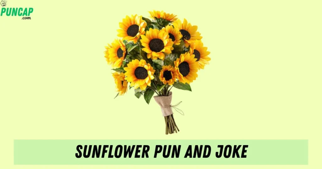 Sunflower Pun And Joke