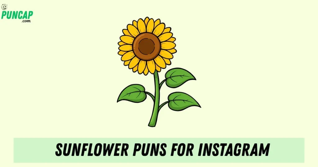 Sunflower Puns For Instagram