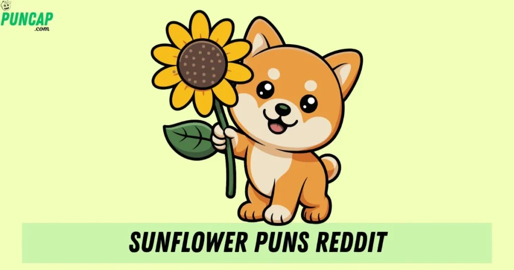 Sunflower Puns Reddit