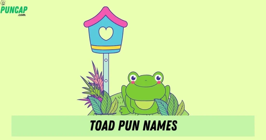 Toad Pun Names