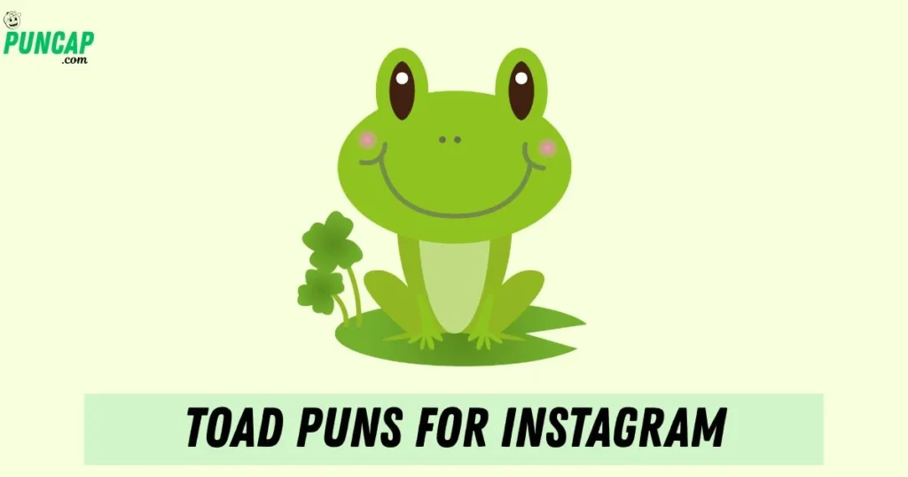 Toad Puns For Instagram