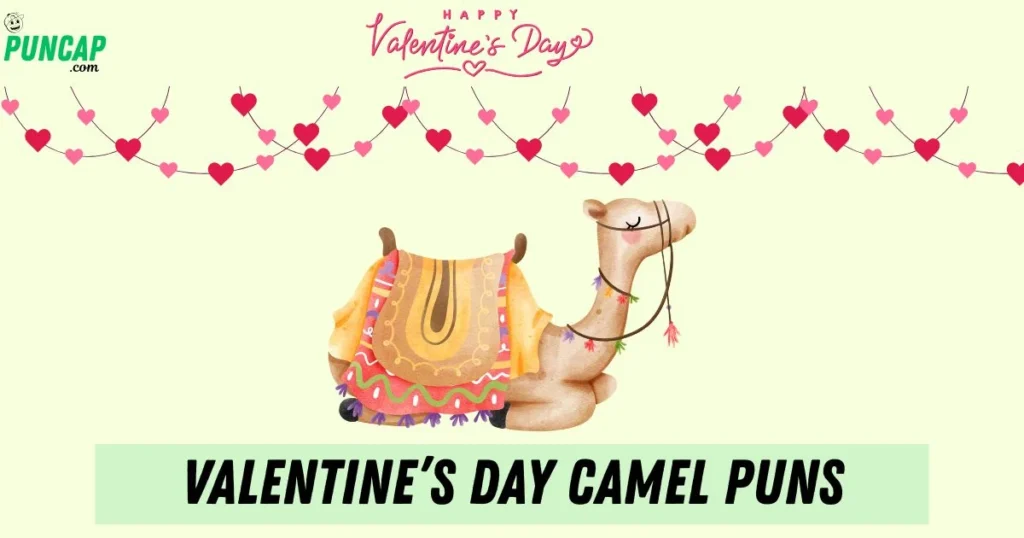 Valentines Day Camel Puns