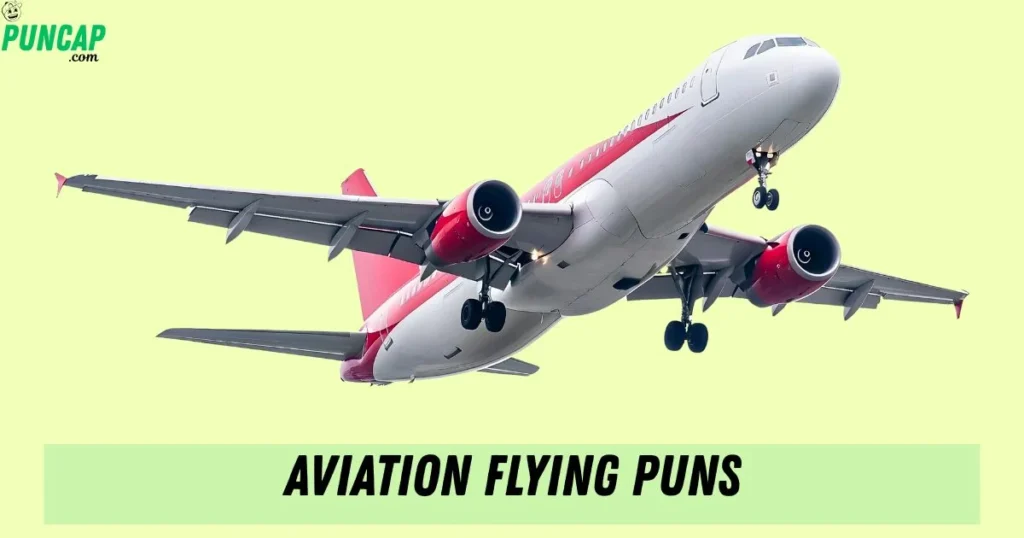 Aviation Flying Puns