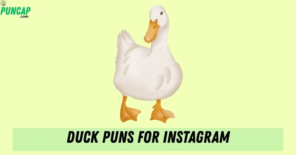 Duck Puns For Instagram