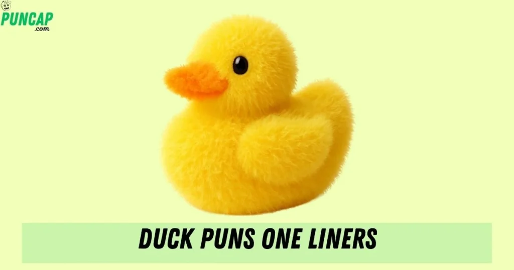 Duck Puns One Liners