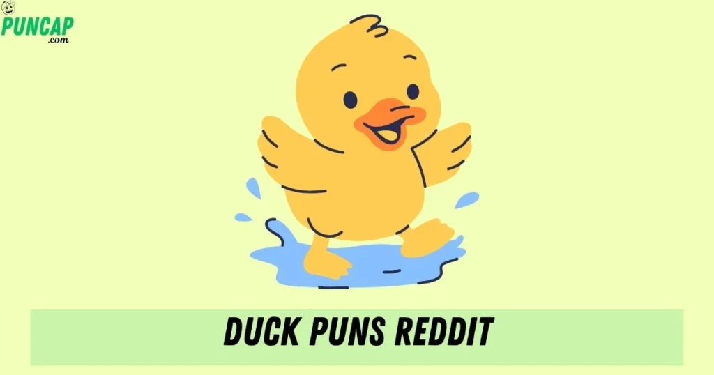 Duck Puns Reddit