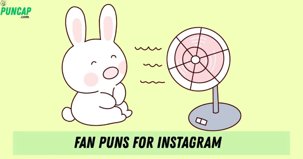 Fan Puns For Instagram