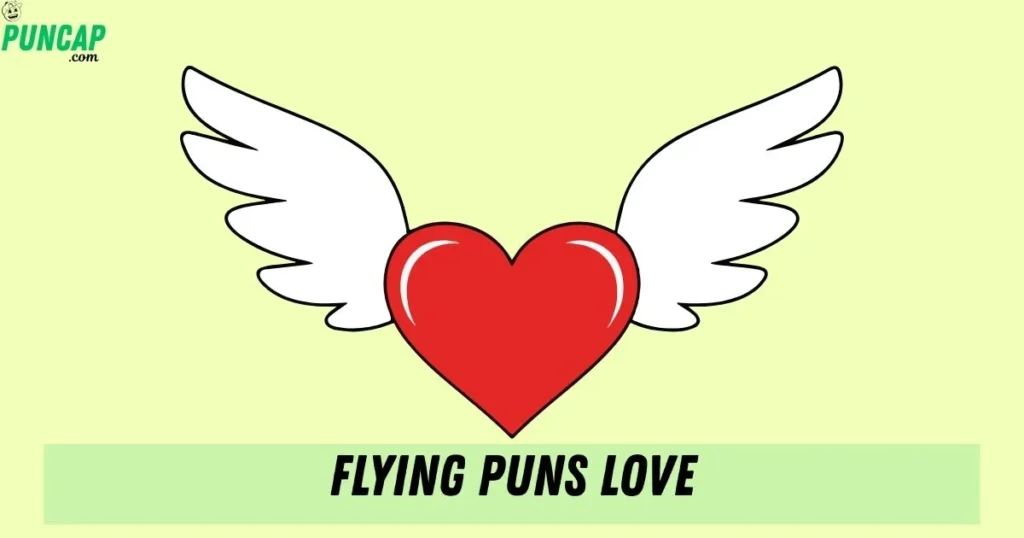 Flying Puns Love