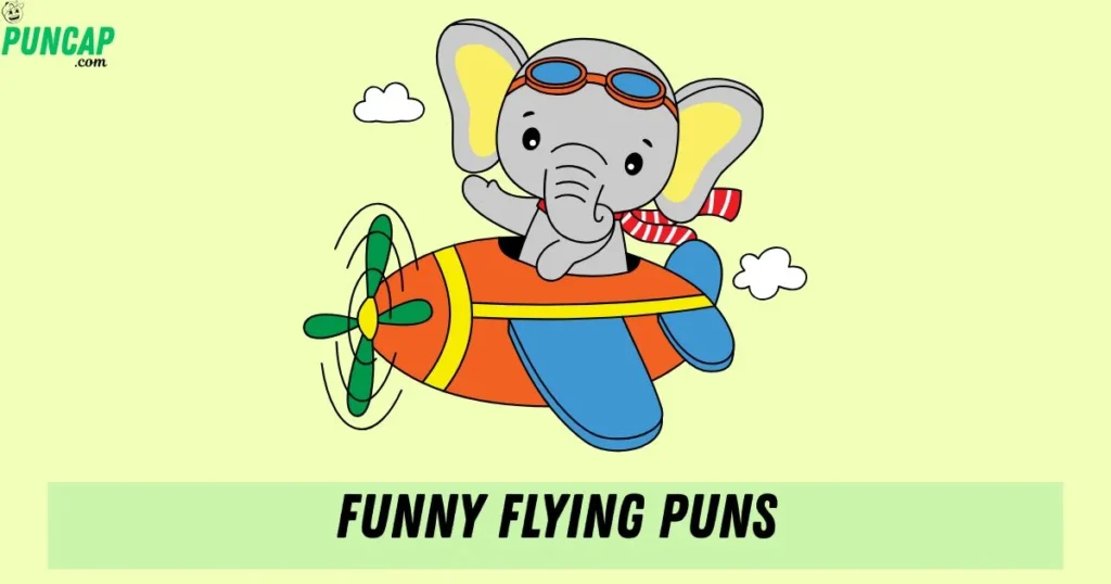 Funny Flying Puns