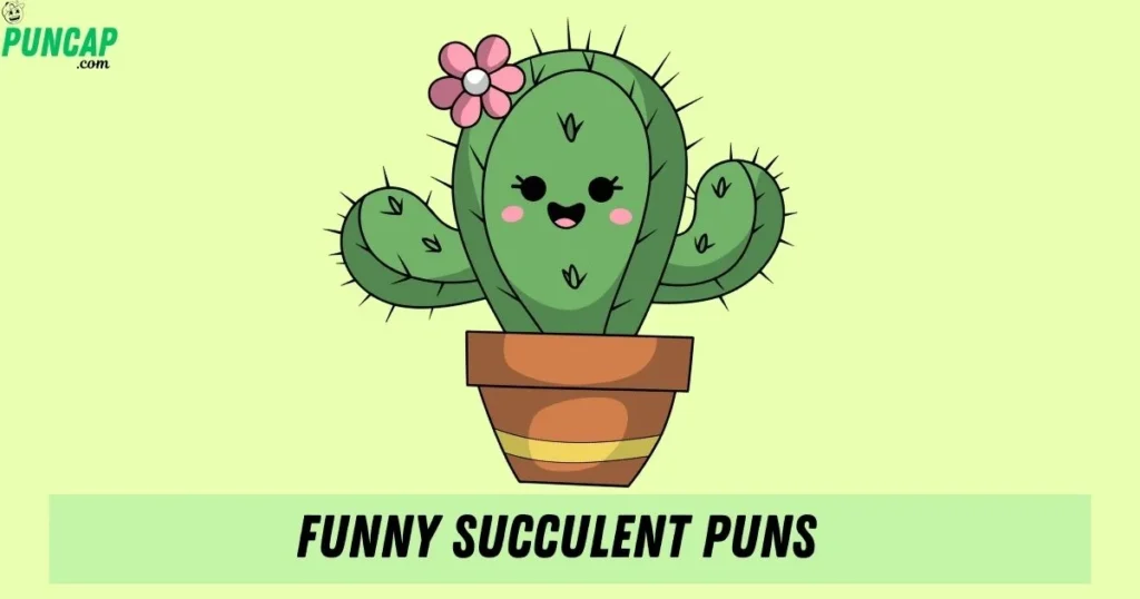 Funny Succulent Puns