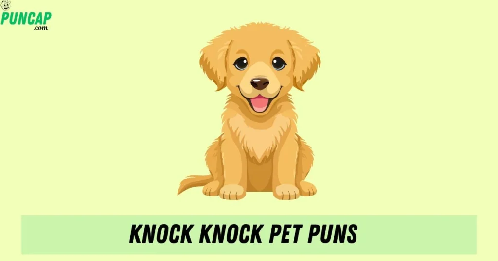 Knock Knock Pet Puns
