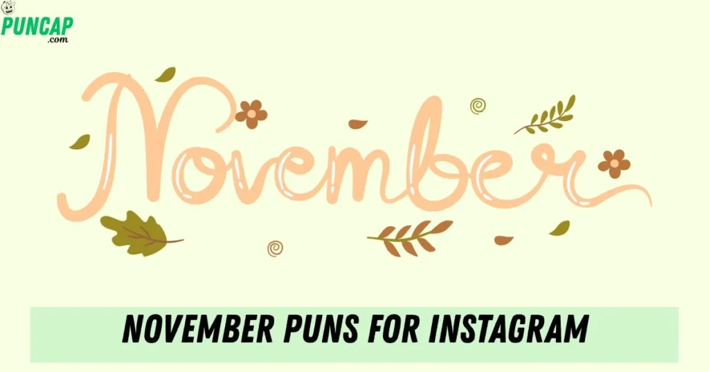 November Puns For Instagram