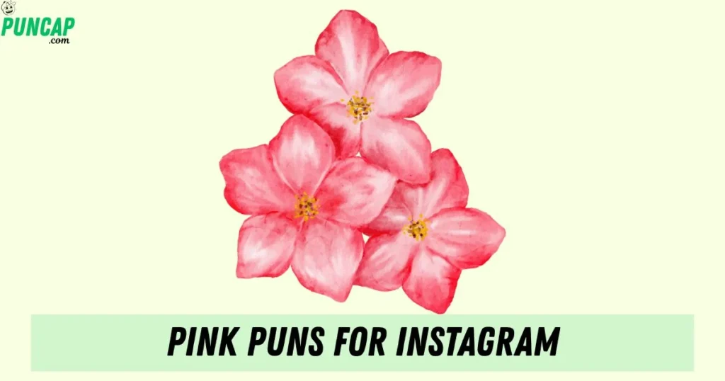 Pink Puns For Instagram