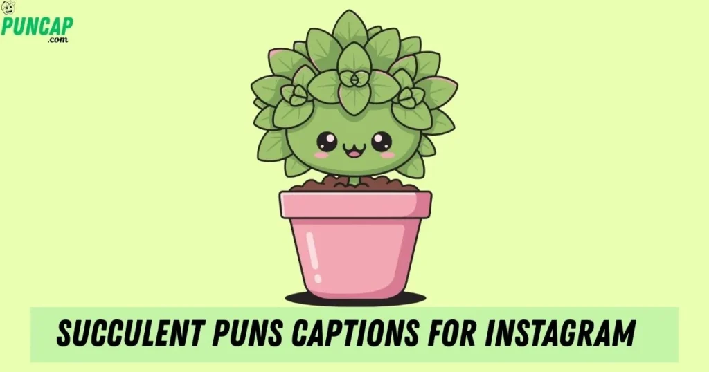 Succulent Puns Captions For Instagram