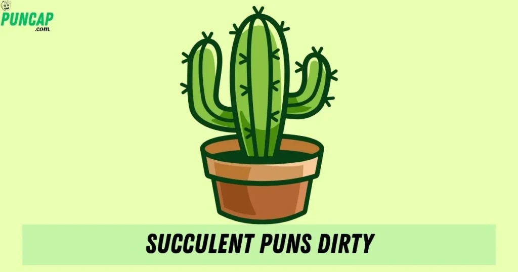 Succulent Puns Dirty