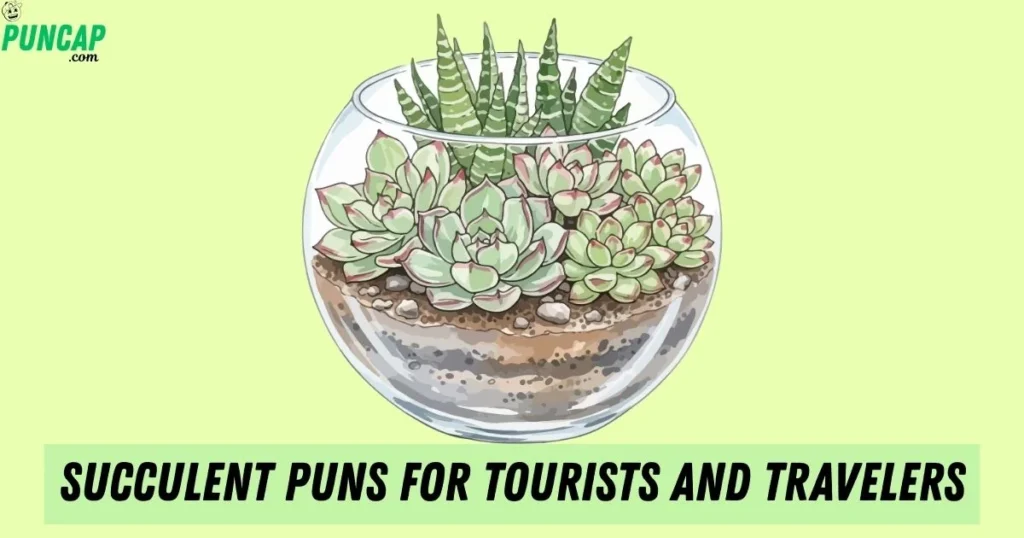 Succulent Puns For Tourists And Travelers